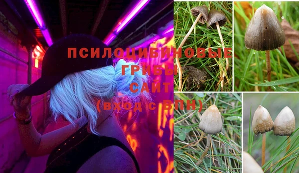 mdma Верея
