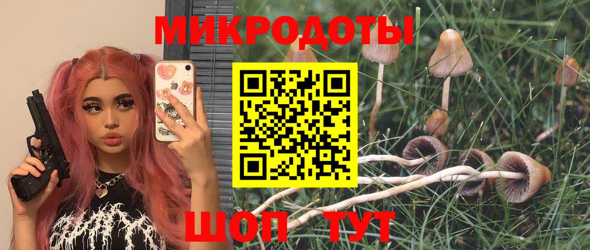 Псилоцибиновые грибы ЛСД  Можайск 