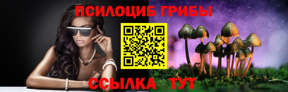 Псилоцибиновые грибы Cubensis  Вход с VPN  Можайск  Псилоцибиновые грибы ЛСД 